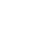 Brand Icon